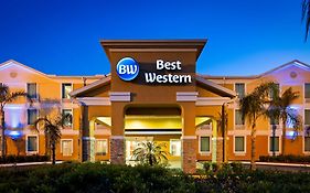 Best Western Hotel Wesley Chapel Florida